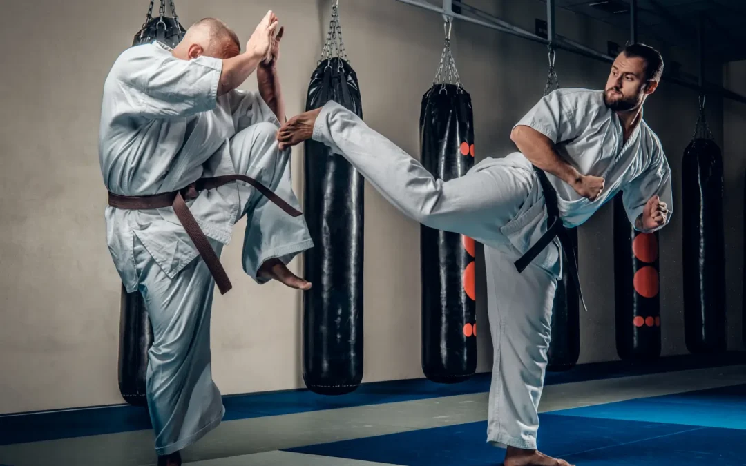 Why Martial Arts Schools Need Stricter Oversight: The Current Gaps in Regulation and Safety